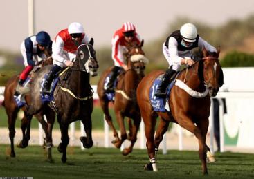 高频赛事直播服务